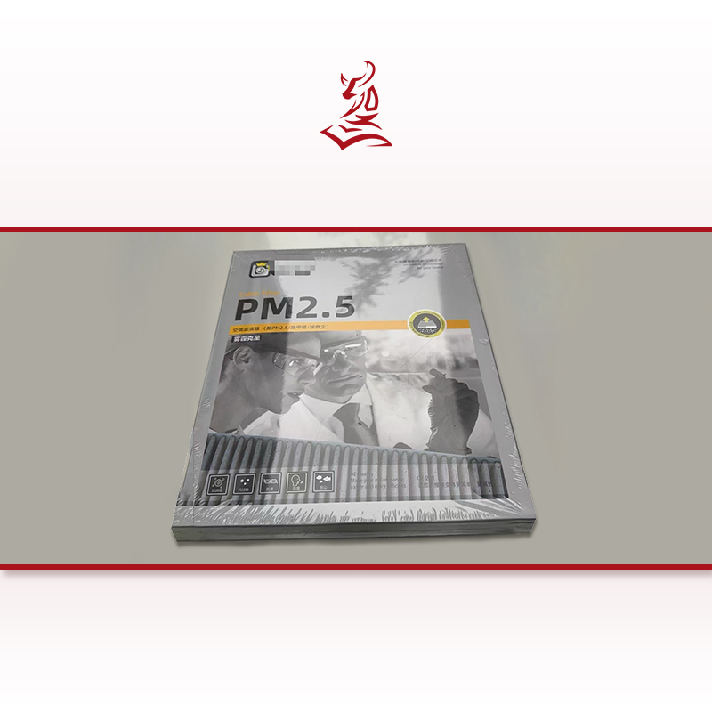 Jetta VS7 Cabin Air Filter with PM2.5